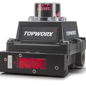 TopWorx™ ESD